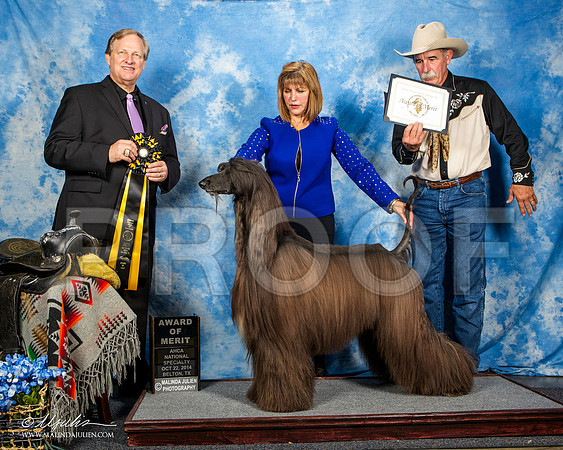 _ST_4611-AfgBeltonOct2014-HR3