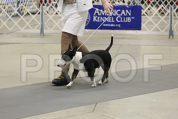 MJS_2644