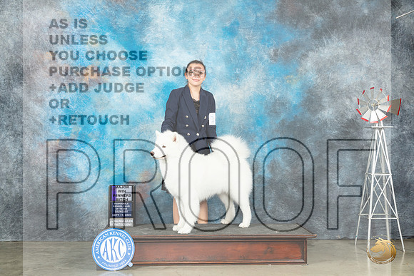 Samoyed #14 Sun WB Judge Dr Steve Keating_JP_4817_Amarillo2023_HR3