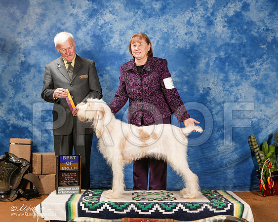 _ST_1355-2-GlenRoseJan2015-HR3