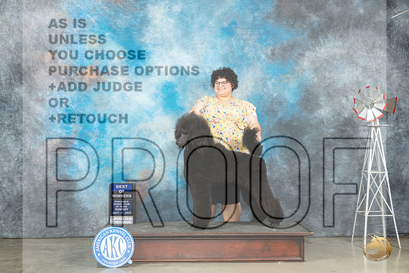 Poodle Std #7 Sun BOWWD Judge Helen Dorrance_JP_4858_Amarillo2023_HR3