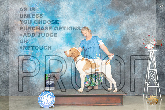 Bracco #5 Sun OHG2 Judge Helen Dorrence_JP_4967_Amarillo2023_HR3
