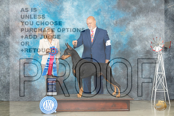Doberman Pinscher #9 Sun RBIS Judge Helen Dorrence_JP_5040_Amarillo2023_HR3