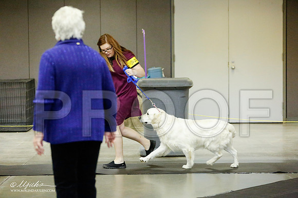 _RH_1041-BeltonJan2015IABCA-HR3