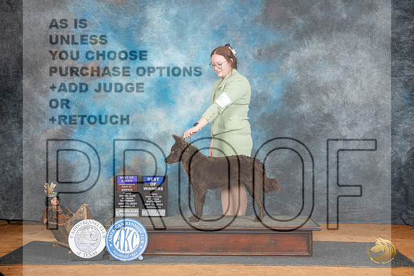 Mudi #6 Sat BOWBOBHBOB Judge Denise Dean__JP_7698_MARSHALL_2024_HR3
