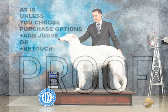 Borzoi #11 Sun G1 Judge Sharon Derrick_MJ_5116_Amarillo_2022_HR3