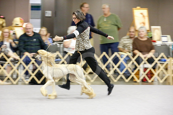 _JJ_8113-AfgBeltonOct2014-HR3