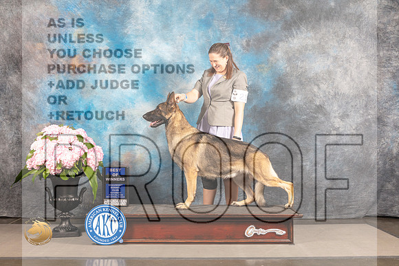 German Shepherd Dog #21 SAT WD BOW Judge Janet Fink_MJ_6532_Houston_2022_HR3