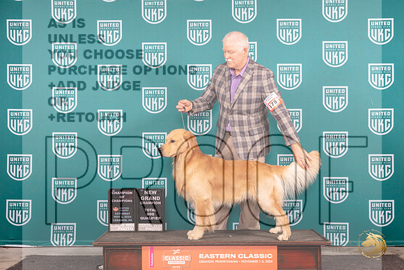 Golden Retriever #178 Sat COCGCHTD Judge Kathryn Baxter__JP_2120_UKCEastern_2024_HR3
