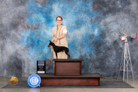 Toy Manchester Terrier #5 Fri G4 Judge Pat Trotter r