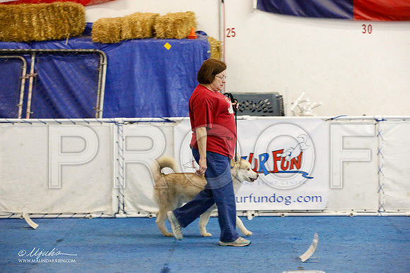_M3_7641-AddisonHuskyMar2015-HR3
