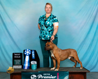 APBT#119WBMIzCaroll