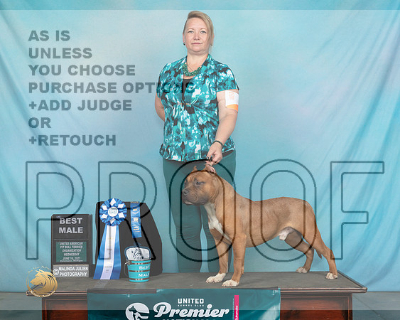 APBT#119WBMIzCaroll0319_Premier21