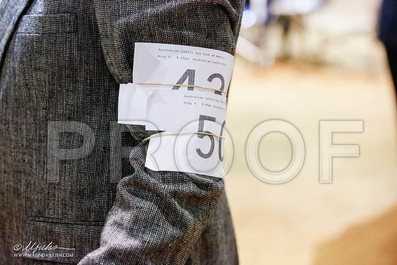 _JN_5543-2-GlenRoseJan2015-HR3