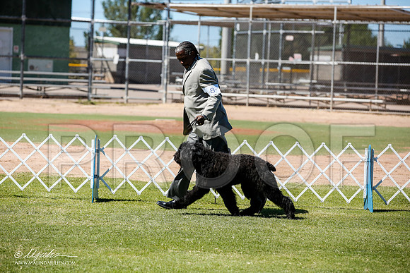 _JN_8879-AlamogordoOct2014-HR3