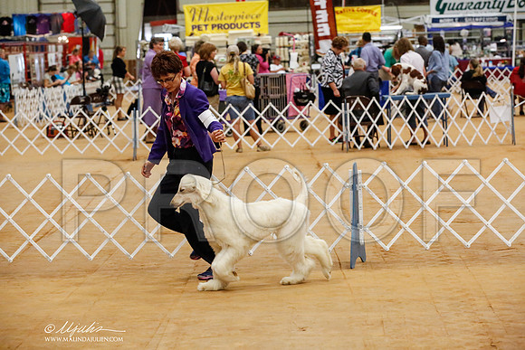 _HR_7739-TxArJun2014-HR3