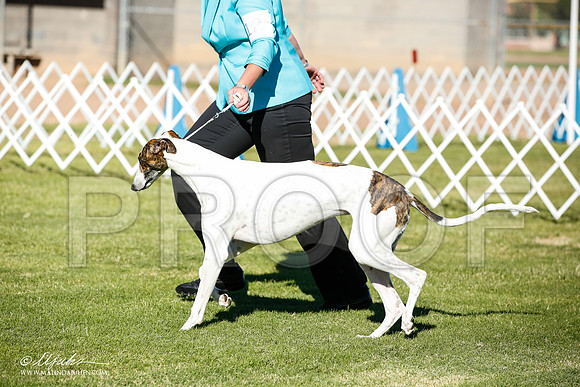 _JN_5648-AlamogordoOct2014-HR3