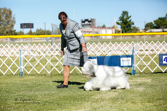 _JJ_2632-AlamogordoOct2014-HR3