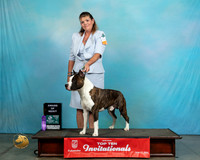 APBT224ThAOEBaxter