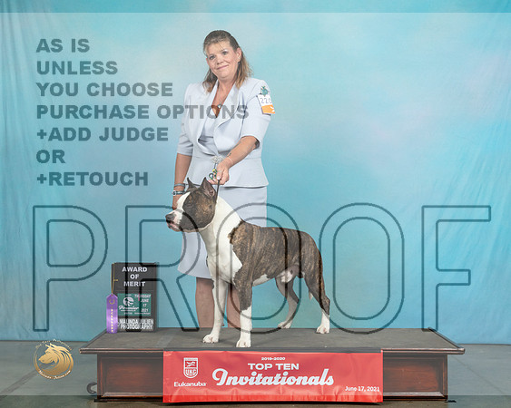 APBT224ThAOEBaxter0400_Premier21