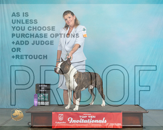 APBT224ThAOEBaxter0402_Premier21