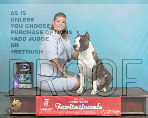APBT224ThAOEBaxter0409_Premier21