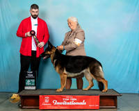 GSD#267T10Kev