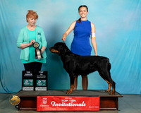 Rott#843TJr