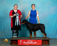 Rott#843T103