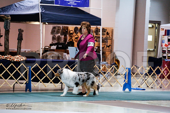 _JN_5009-ASCACollegeStationNov2014-HR3