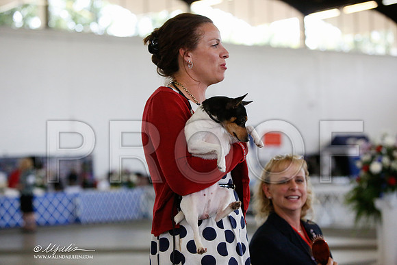 _JJ_3267-DallasJul2014-HR3
