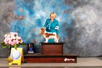 Cavalier King Charles Spaniel #8 THUR WB BOS Judge Jeffery Bazell