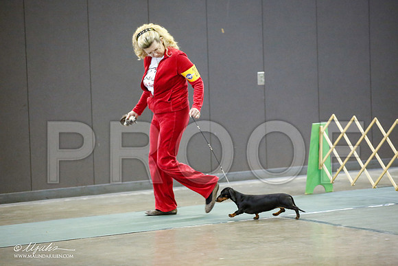 _JN_3932-BeltonJan2015-HR3