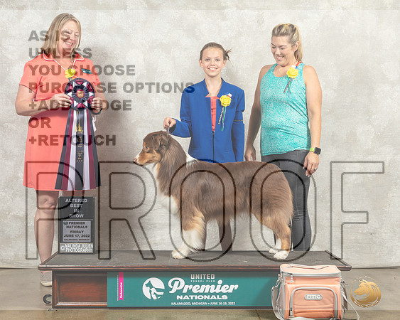 Australian Shepherd #313 Fri ABIS Judge Pamela Perdue__MJ_8140_Premier_2022_HR3