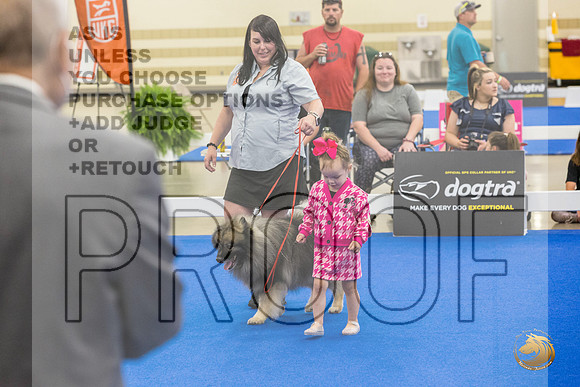 Juniors Ring Sat_JJL_2467_Premier_2024_HR3