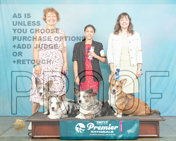 Card40944_Premier21