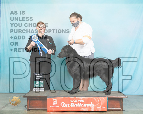 FlatC#256FAg1BLand1052_Premier21