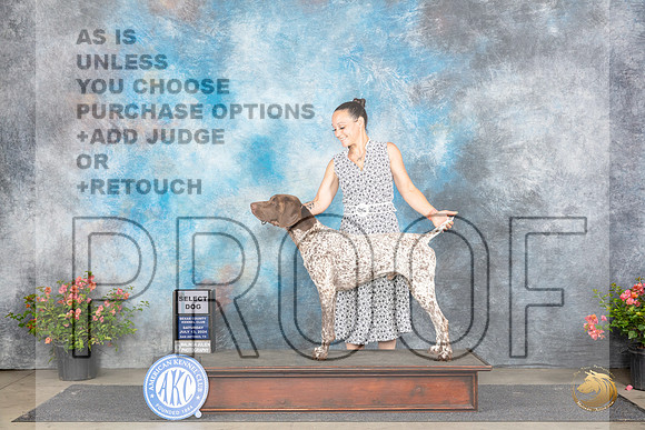 Germa Shorthaired Pointer #5 Sat SD Judge Christie Martinez__JP_4754_San Antonio_2024_HR3