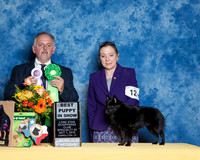 #12 S2 RWB Best Puppy Lezlie Hall Judge Rodney Merry