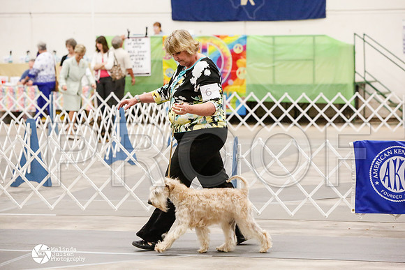 _CK_8558-AblnMay2014-web