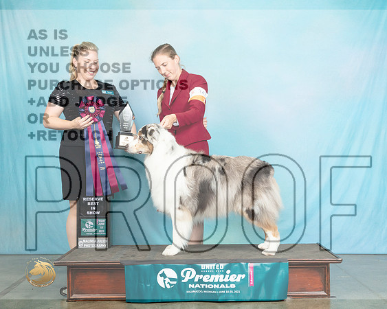 Aus#347FRBISDoty1364_Premier21