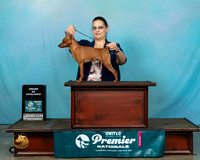 MinPin#804FAOE
