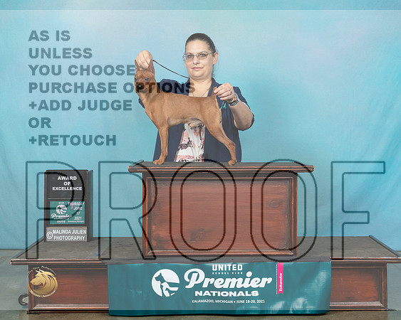 MinPin#804FAOE1244_Premier21