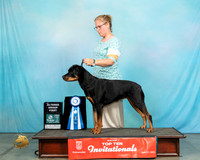 Rott#993FAG1