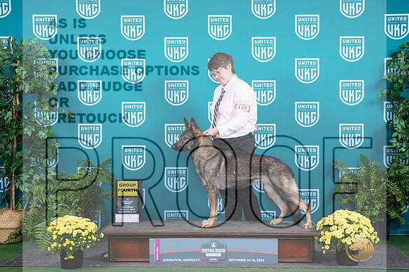 German Shepherd Dog #110 Sat G4__JP_2836_UKCTDI2024_HR3