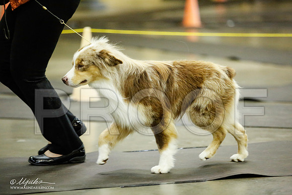 _JJ_6276-BeltonJan2015IABCA-HR3