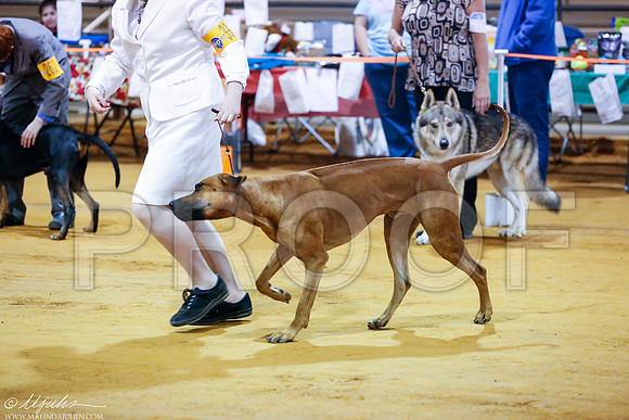 _RH_5012-MarshDec2014-HR
