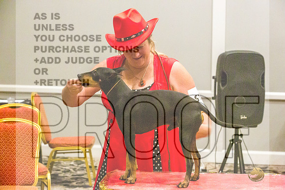 Manchester Terrier MTOY Candids-JJL_2208-Hstn2022_HR3