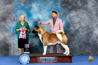 Akita #9 WED BISS Judge Alisa Brotherhood