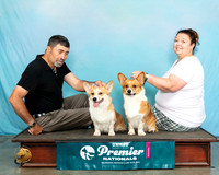 Corg#x2